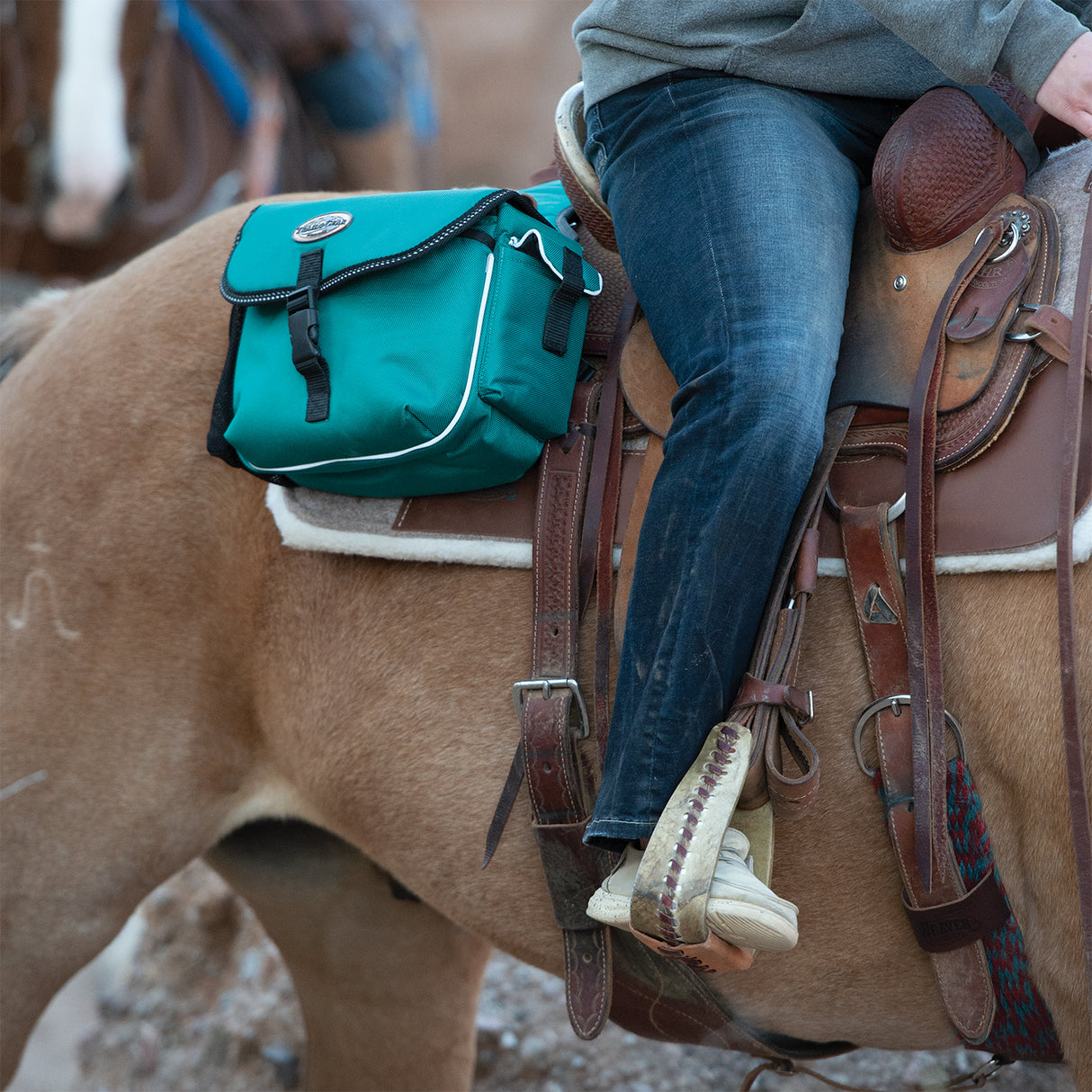Trail Gear Saddle Bags
