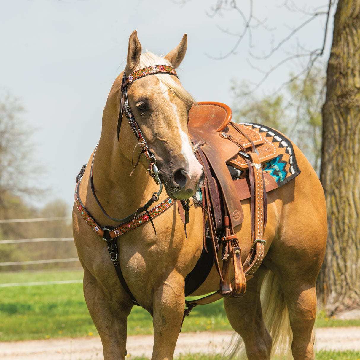 Turquoise Cross Floral Vine 5/8" Headstall
