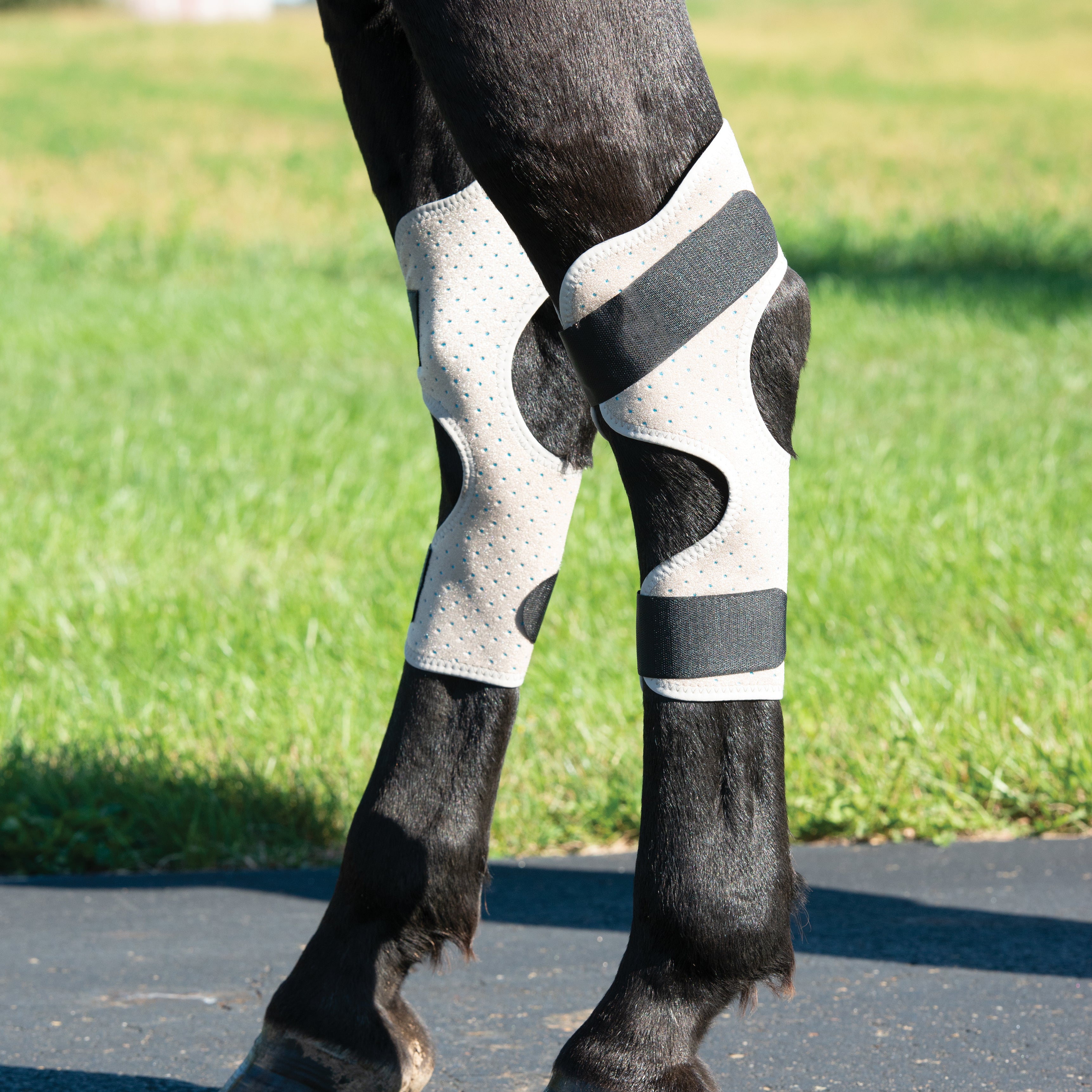Equine Icing & Cooling Hock Wraps Powered by Coolcore®