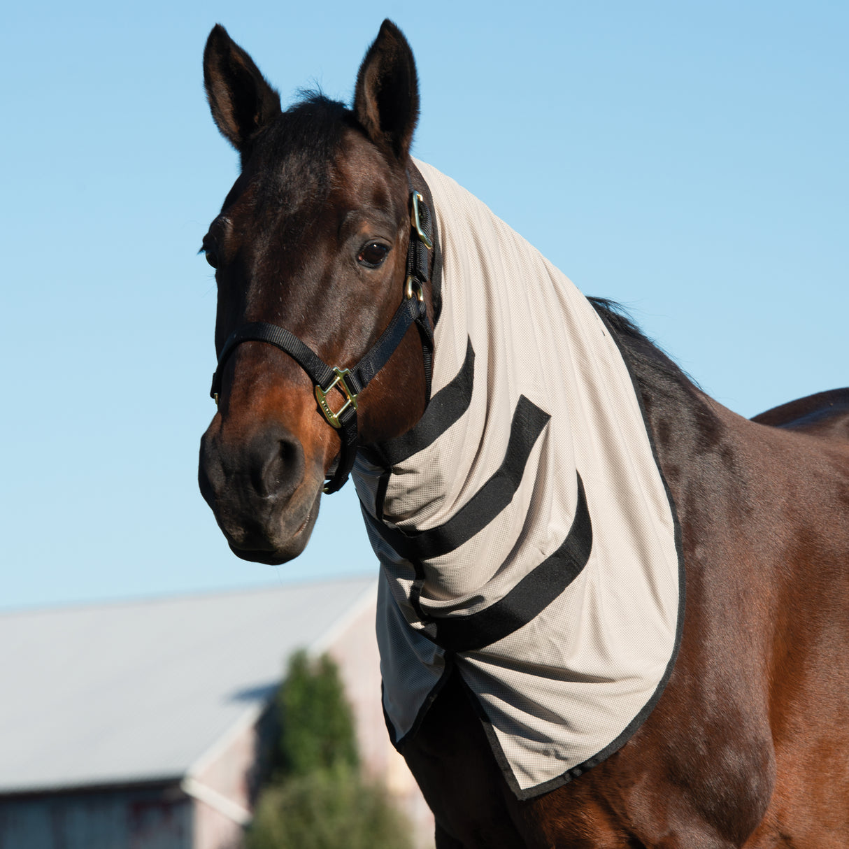 Equine Cooling Neck Wraps Powered by Coolcore®