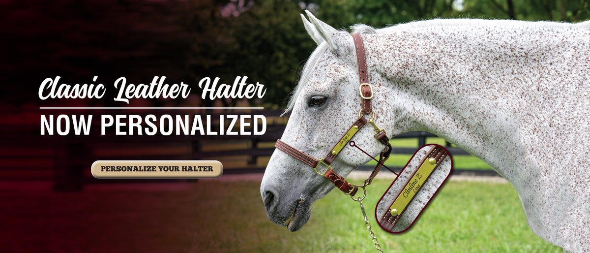 Speckled gray horse wearing a personalized brown leather halter with brass nameplate, promoting custom leather halter personalization.