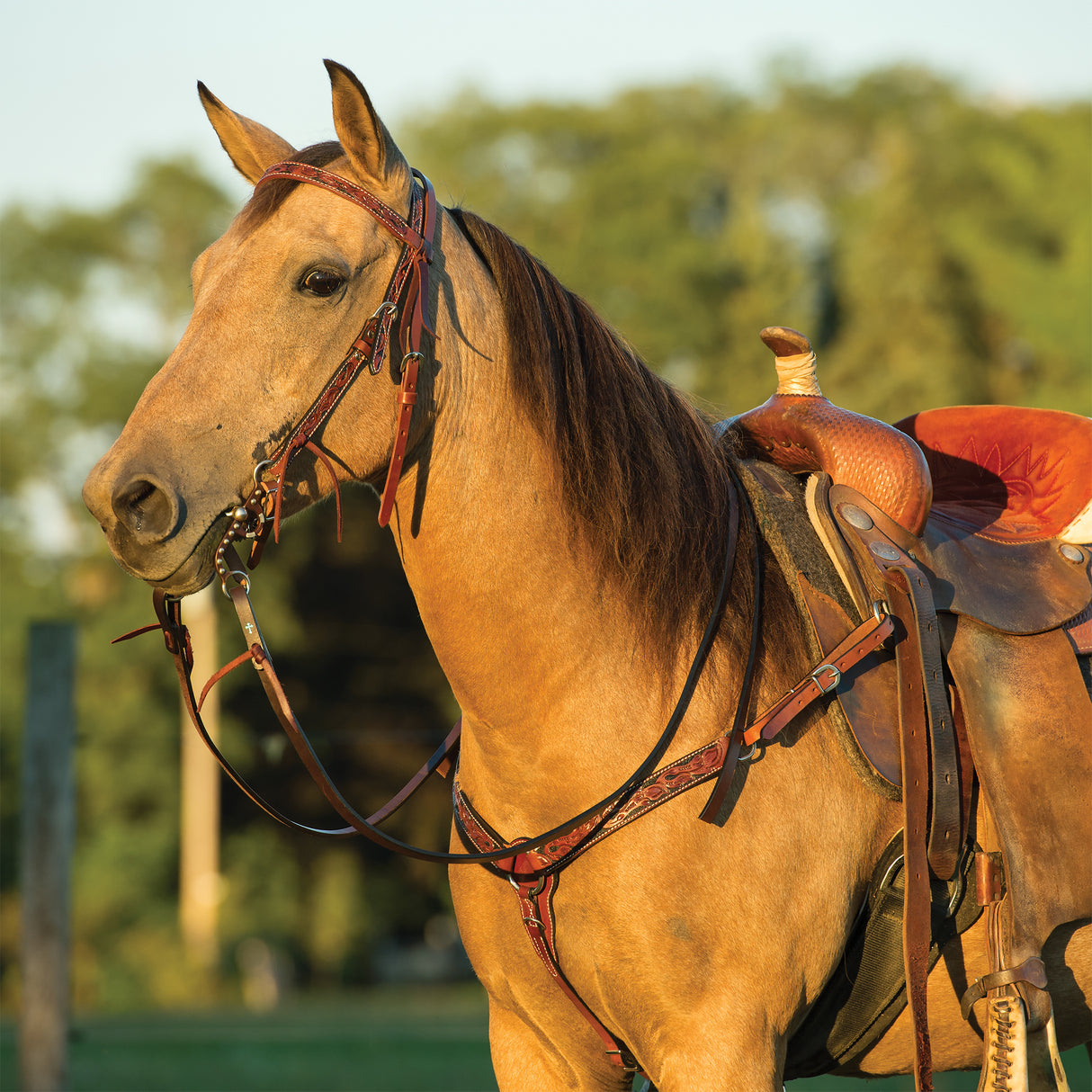 Turquoise Cross Floral Carved 5/8" Browband Headstall