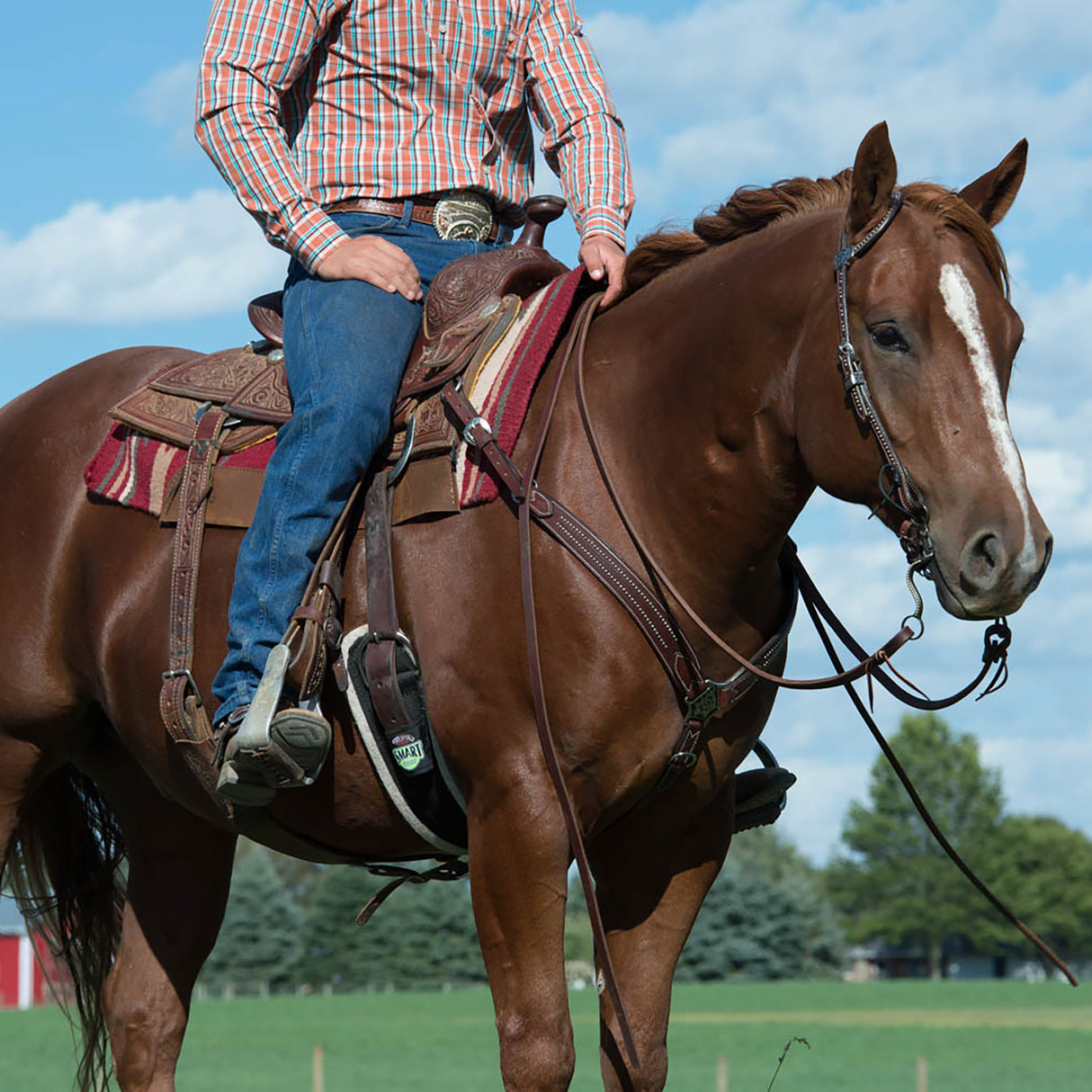 Austin Breast Collar