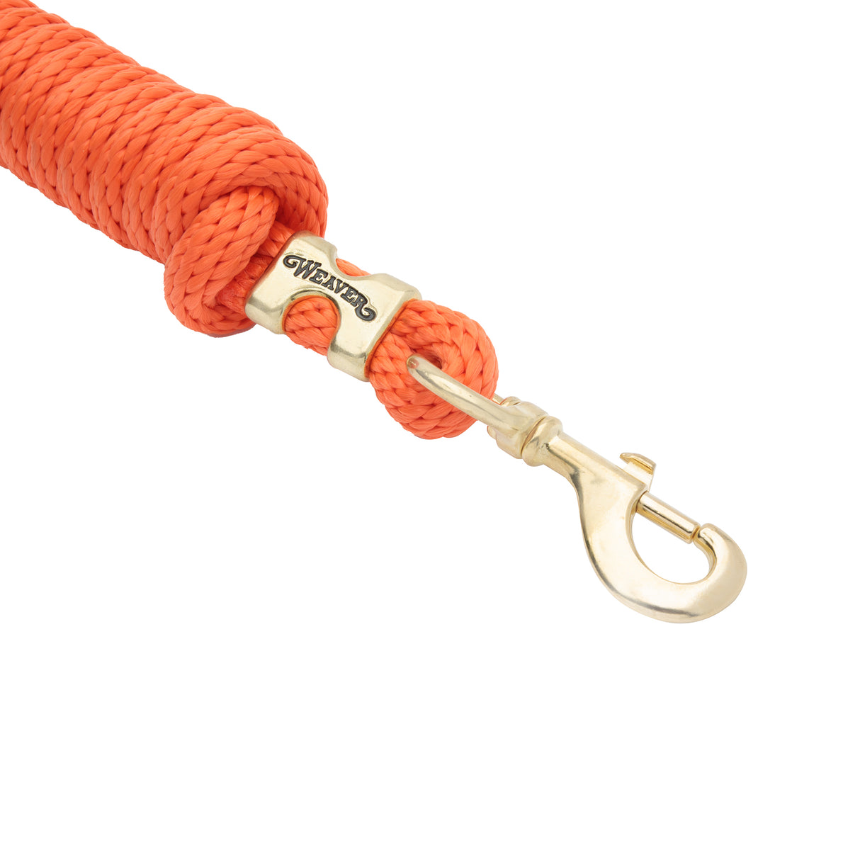 Poly Lead Rope with a Solid Brass 225 Snap