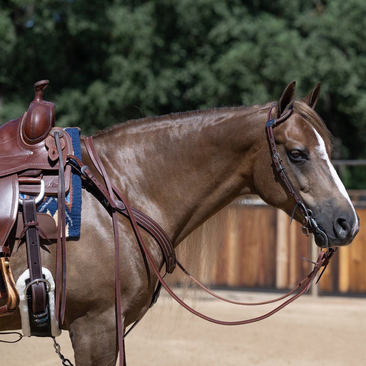 Austin Flat Sliding Ear Headstall