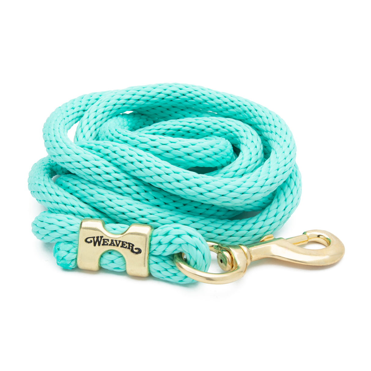 Poly Lead Rope with a Solid Brass 225 Snap