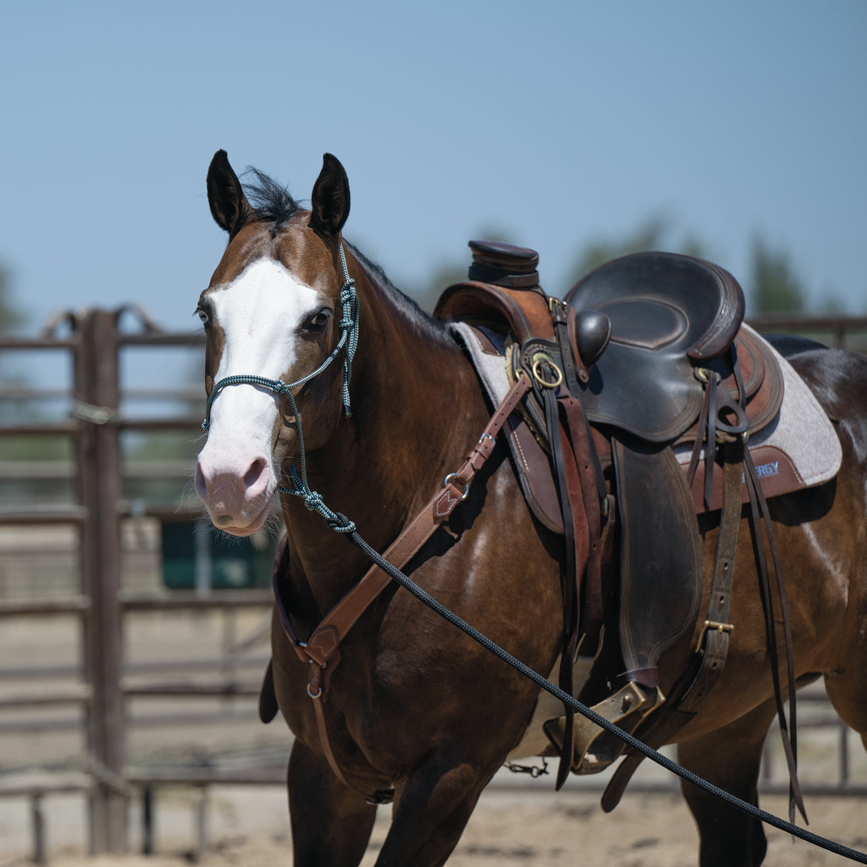 Mohair Blend 27 Strand Smart Cinch® with Roll Snug Buckle