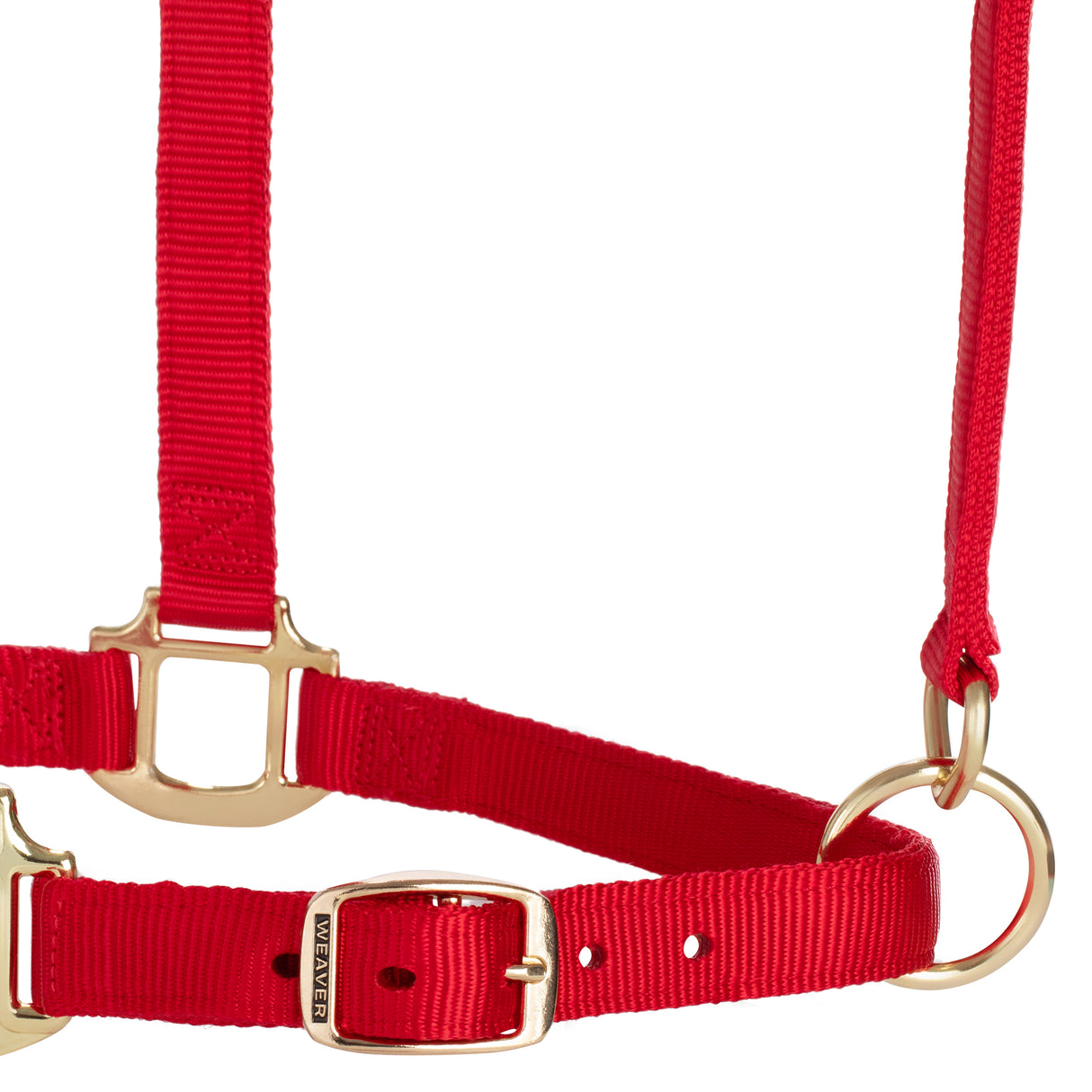 Original Adjustable Chin and Throat Snap Halter, 1" Draft