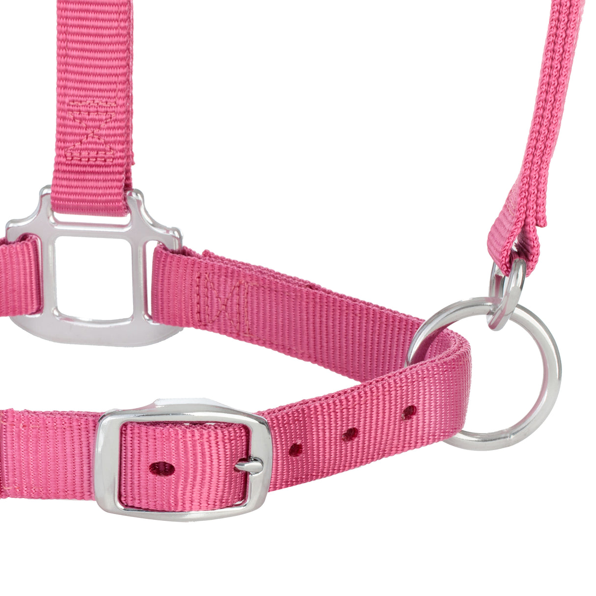 Original Adjustable Nylon Halter with Chrome Plated Hardware