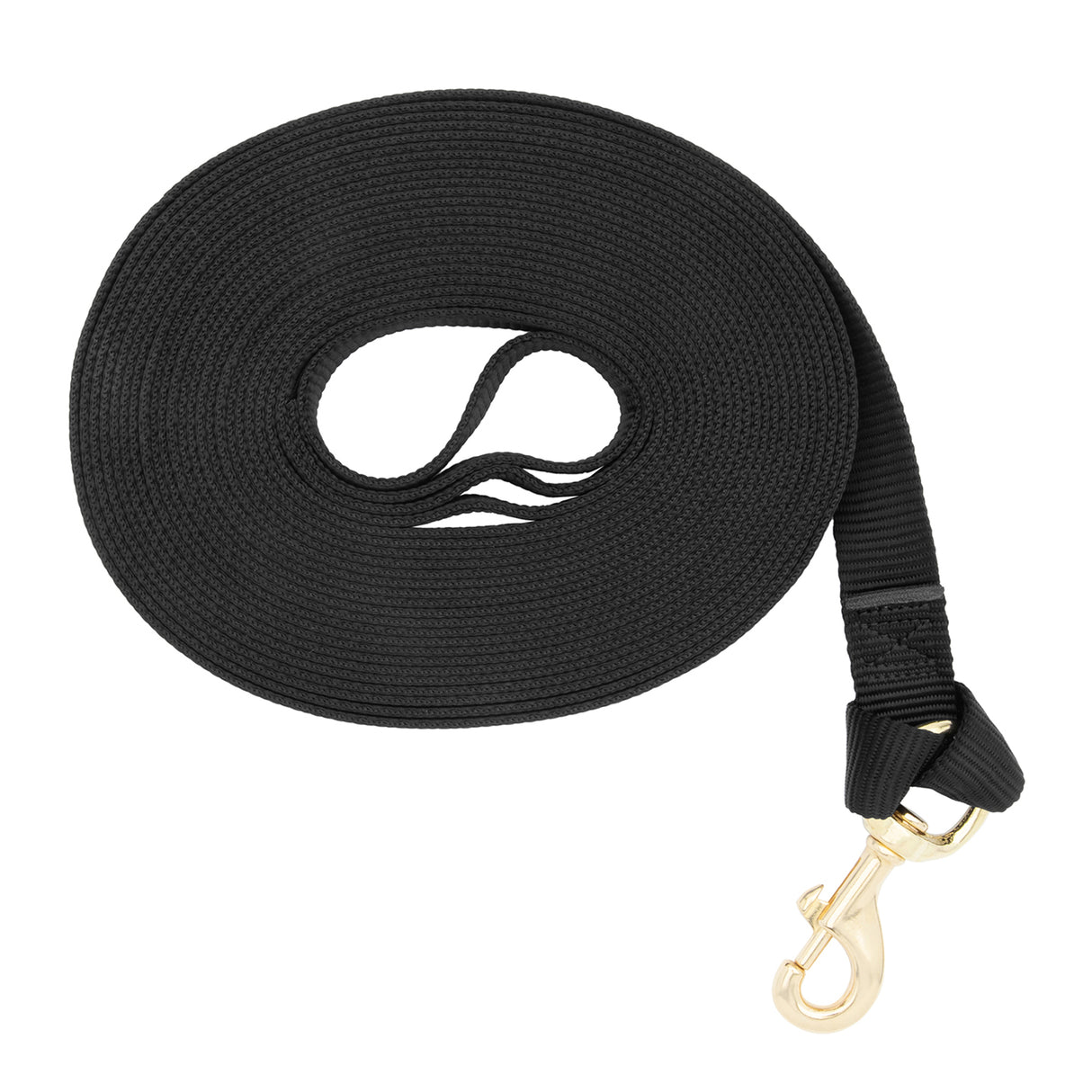 Flat Nylon Lunge Line, 1" x 30 with Snap