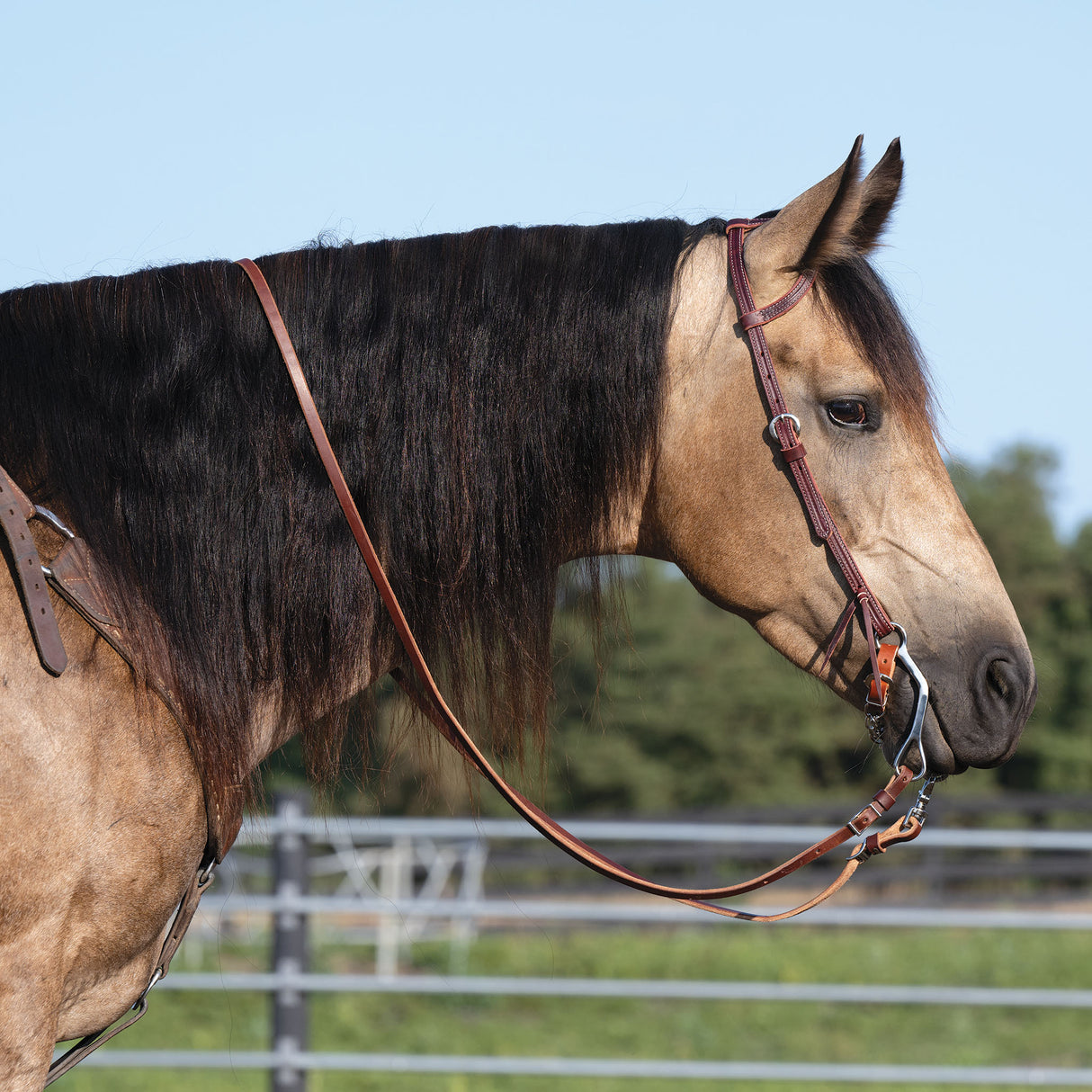 Latigo Leather Flat Sliding Ear Headstall