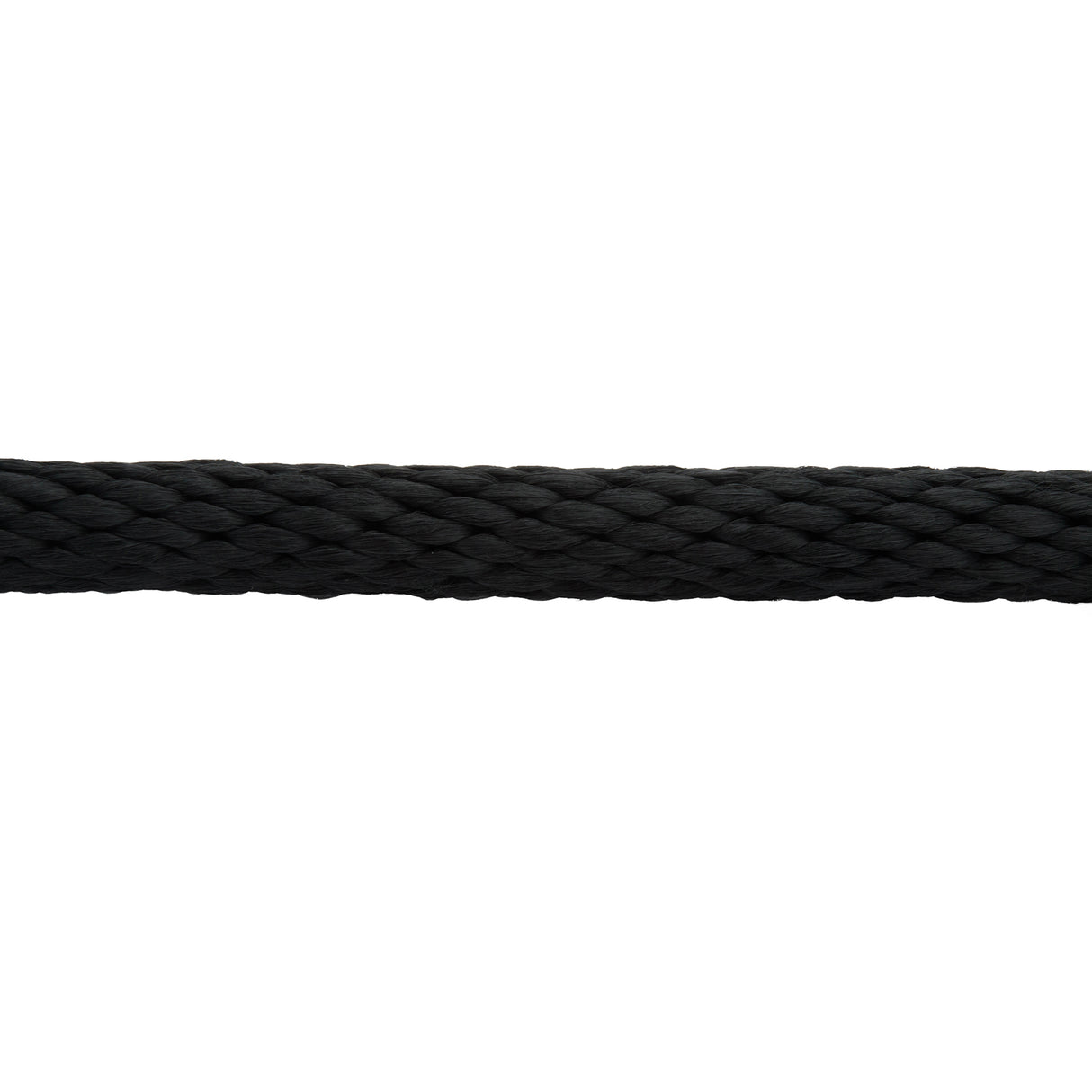 Mini/Pony Lead with Brass Snap