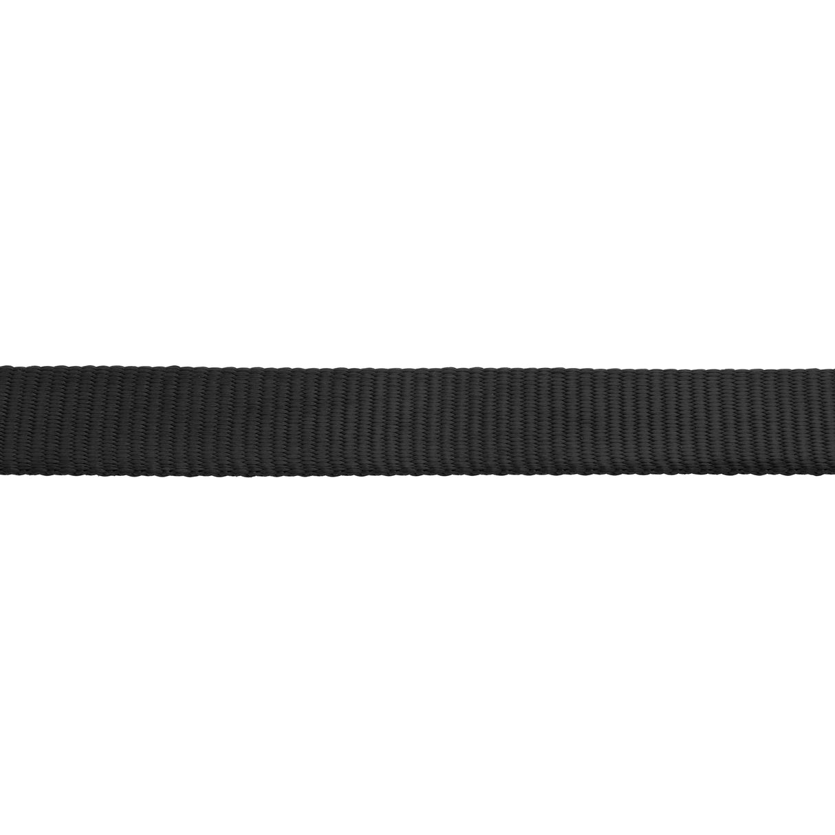 Flat Nylon Lunge Line, 1" x 30 with Snap