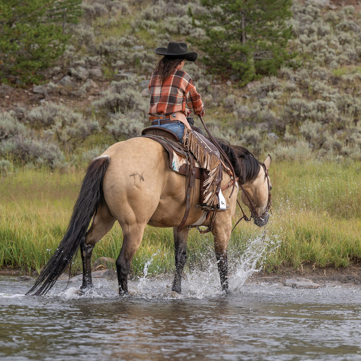 Premium Western Leather Chaps