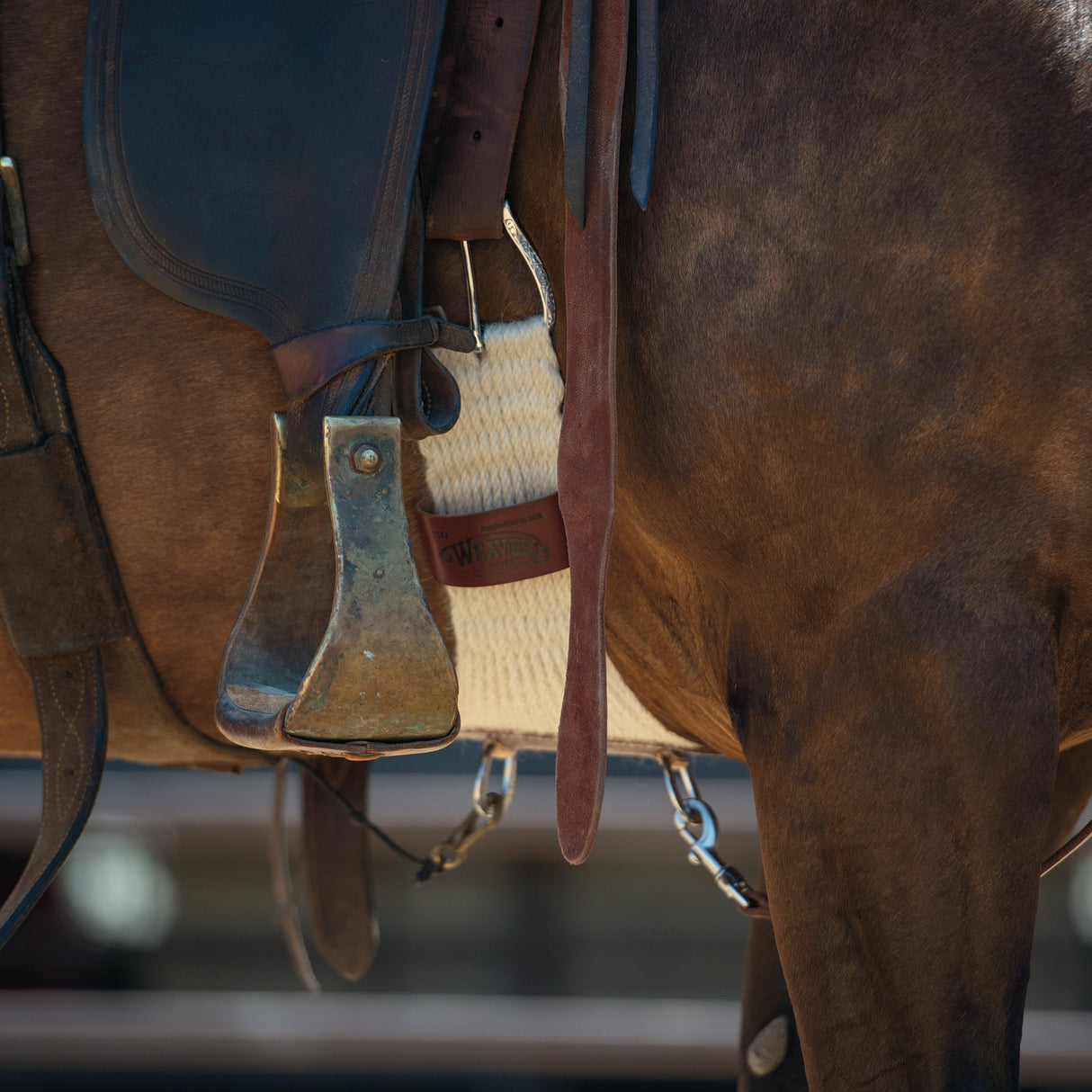 Mohair Blend 27 Strand Smart Cinch® with Roll Snug Buckle