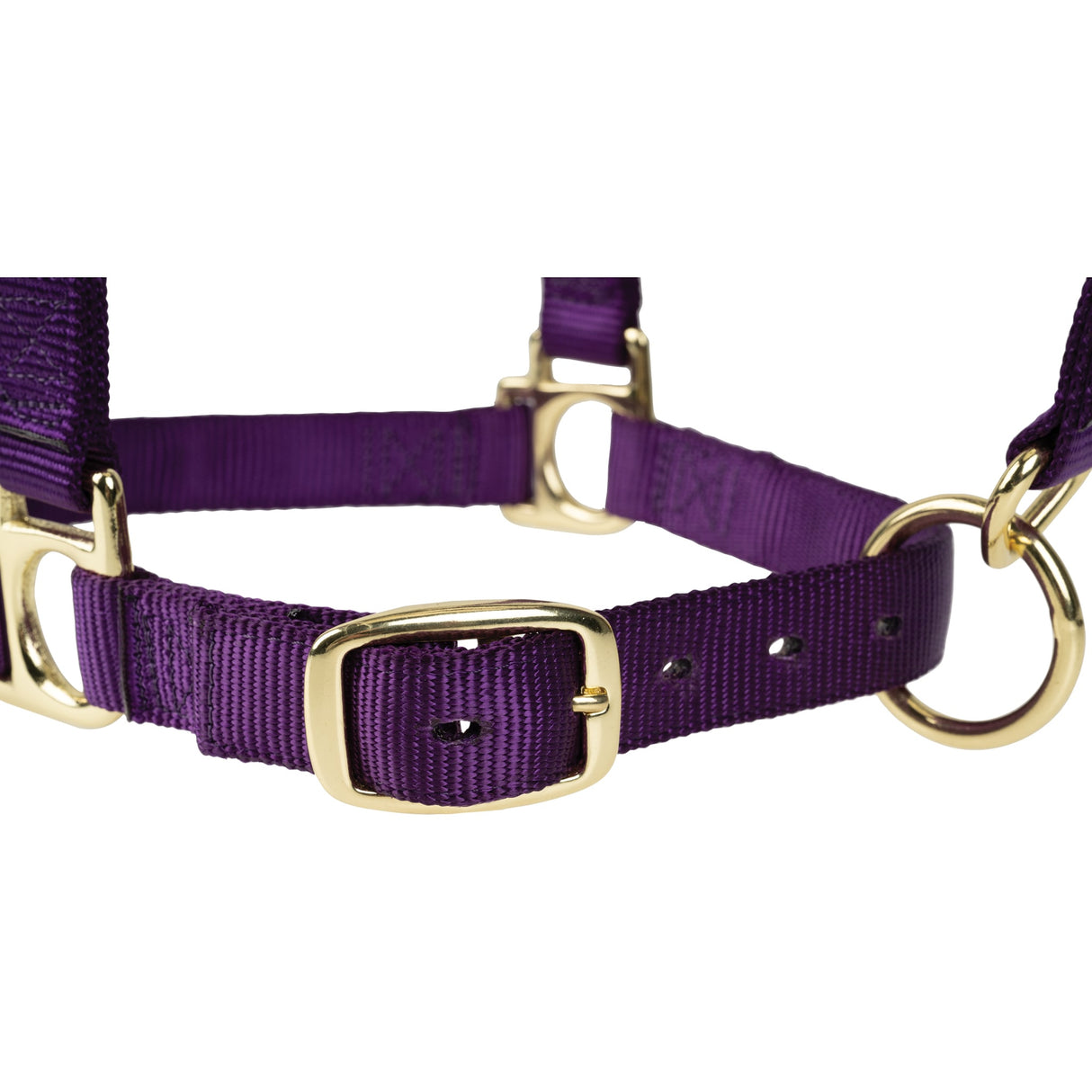 Poly Horse Halter, Adjustable, Weanling to Large