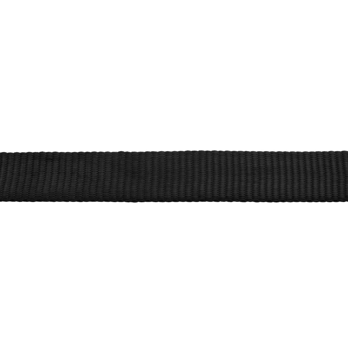 Flat Nylon Lunge Line, 1" x 24 with Snap