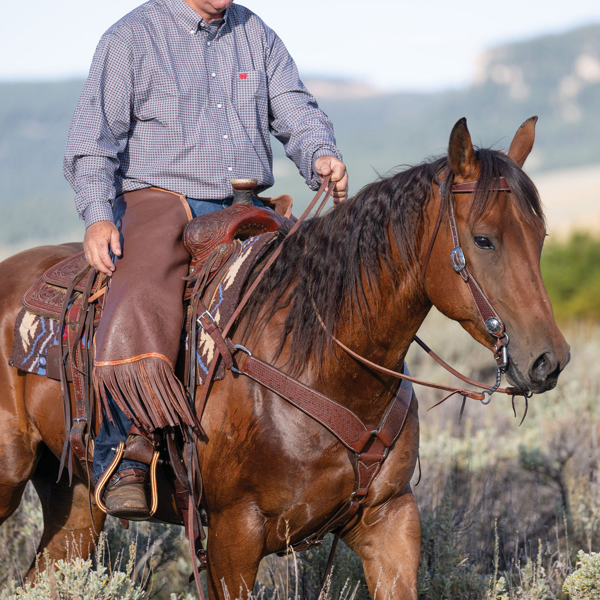 Basin Cowboy Breast Collars