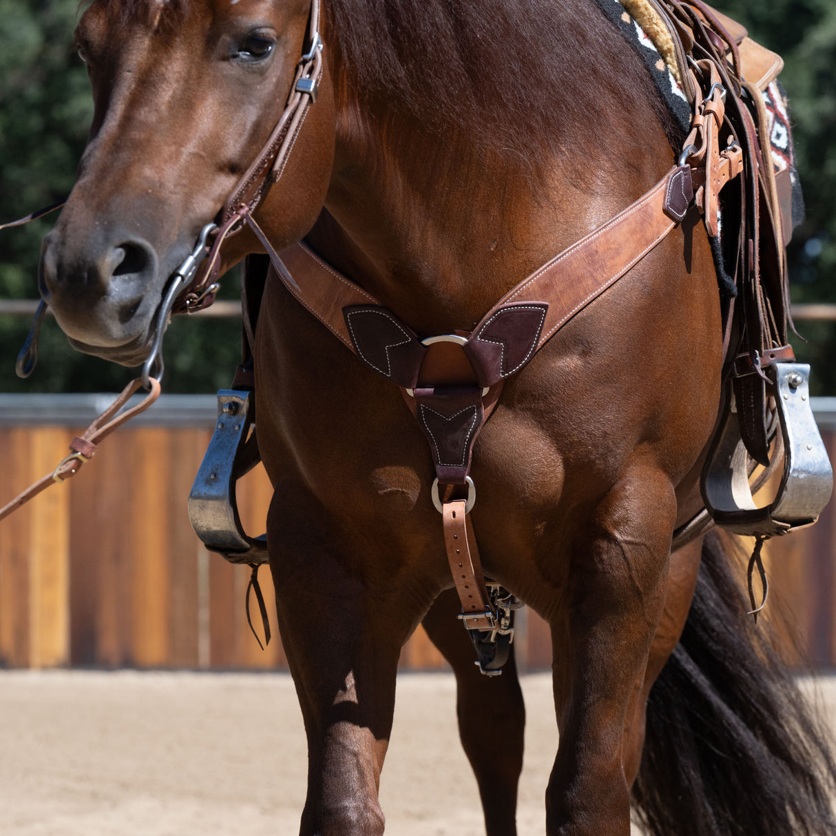Harness and Latigo Leather Roper Breast Collar