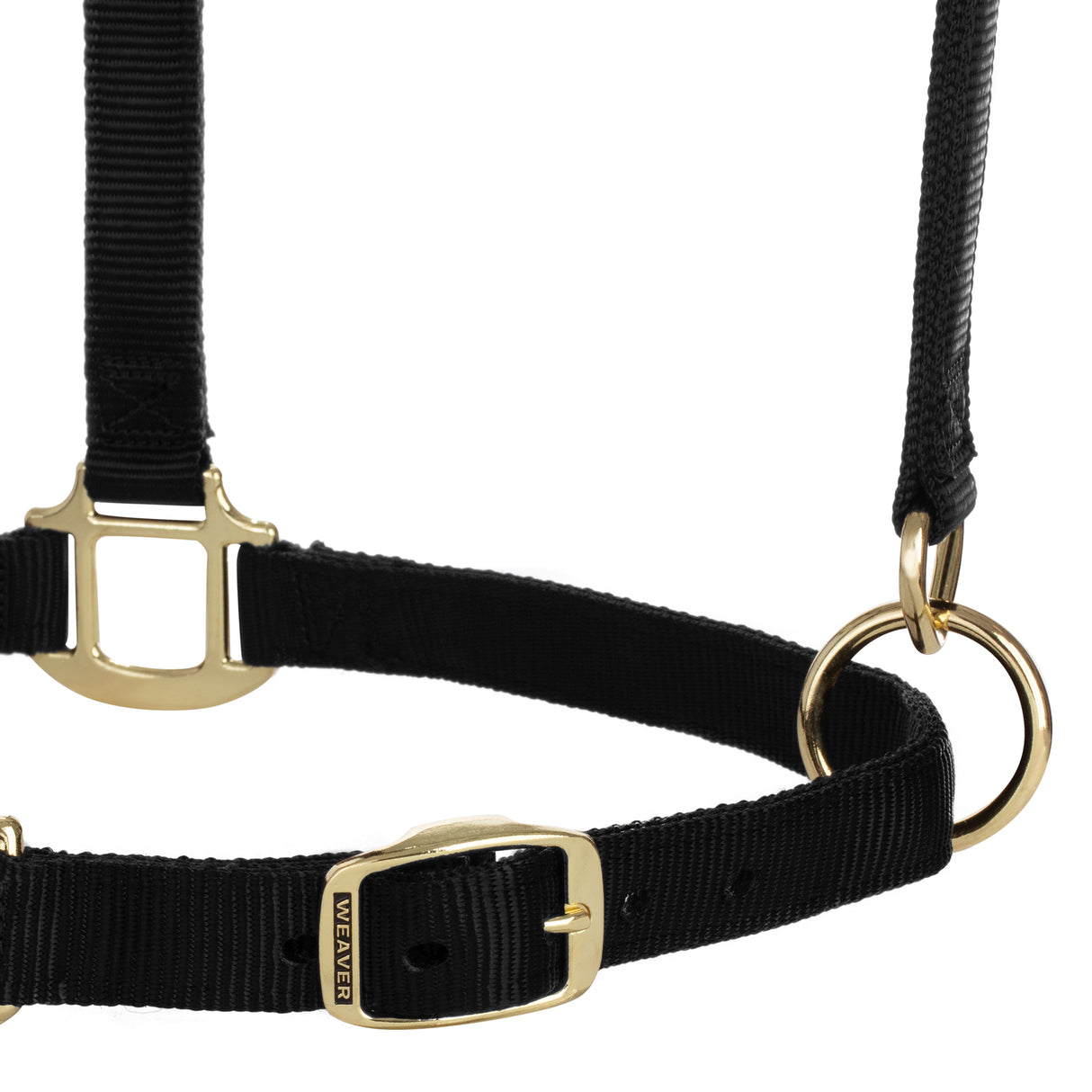 Original Adjustable Chin and Throat Snap Halter, 1" Draft