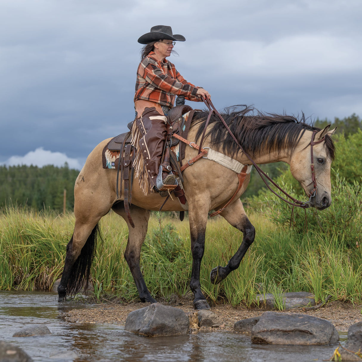 Premium Western Leather Chaps