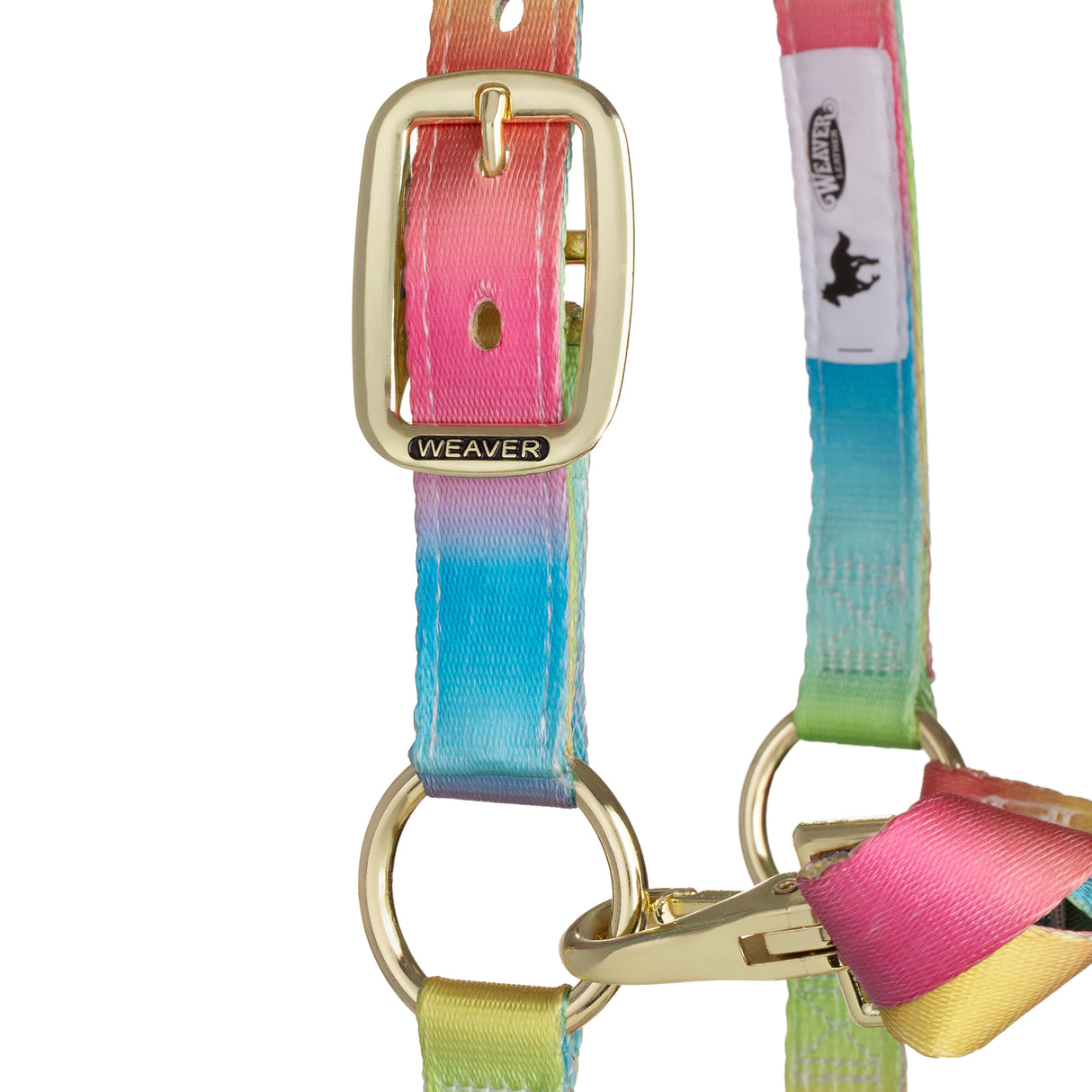 Rainbow Adjustable Polyester Halter, 1"