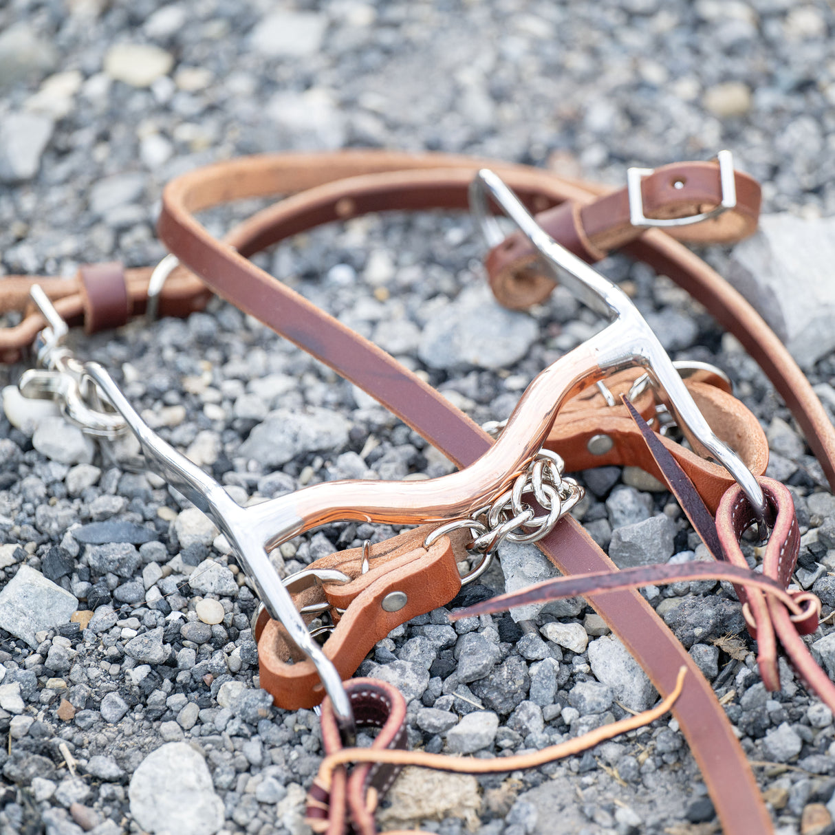 All Purpose Bit, 5-1/2" Medium Port Copper Mouth