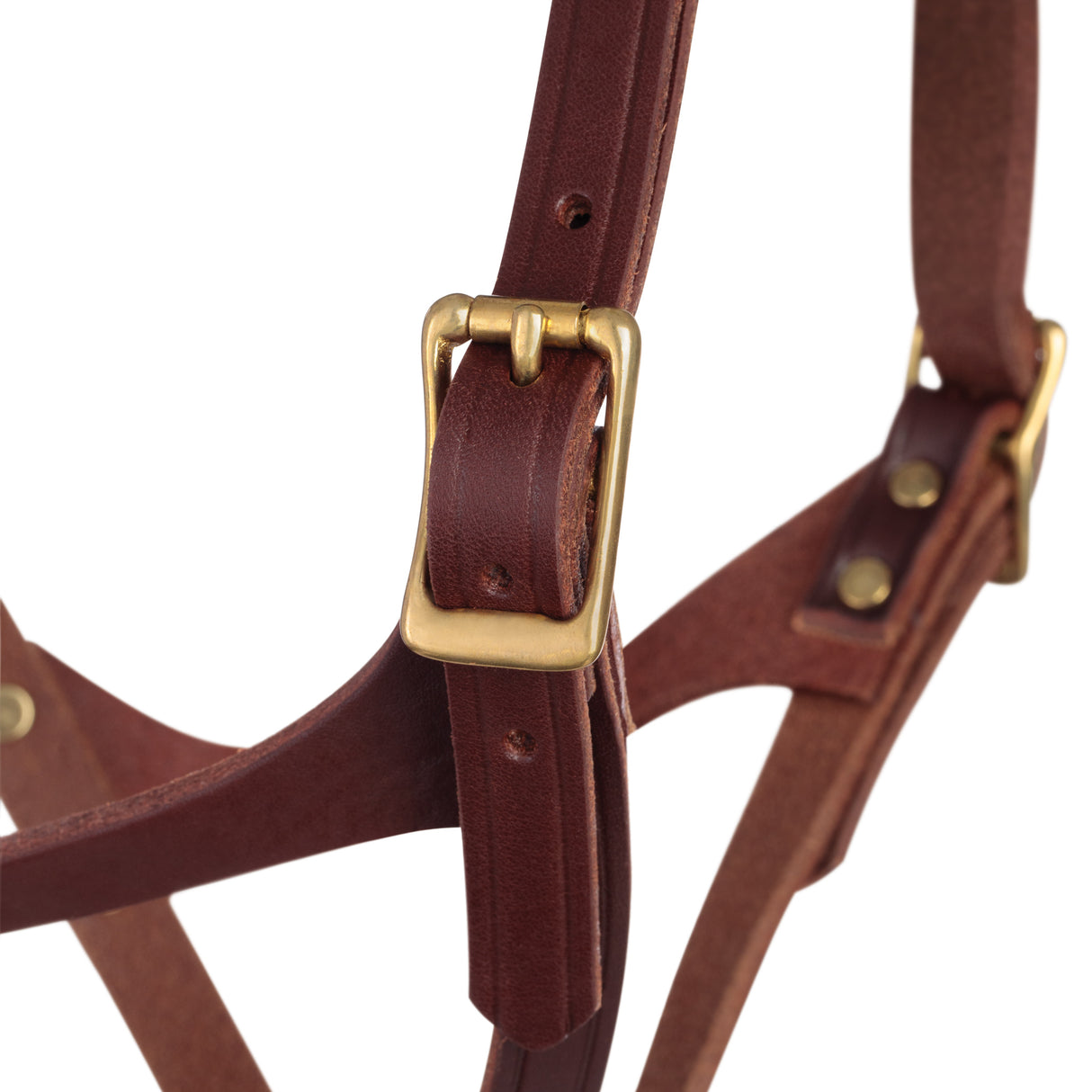 Figure 8 Foal Halter, Suckling