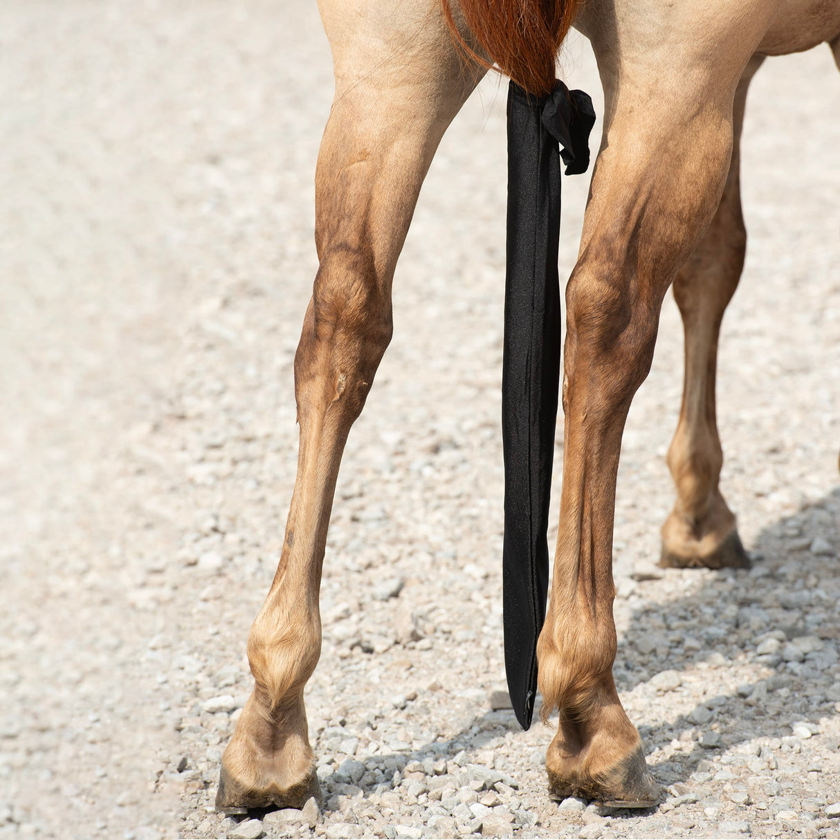 Lycra® Spandex Tail Bag