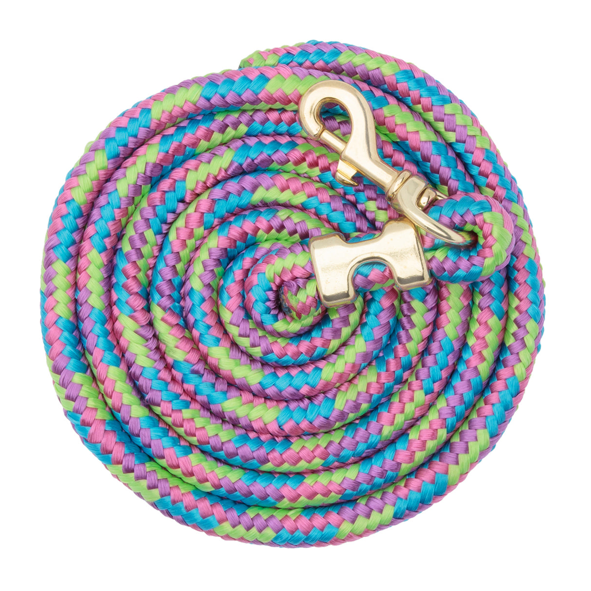 Mini/Pony Lead with Brass Snap