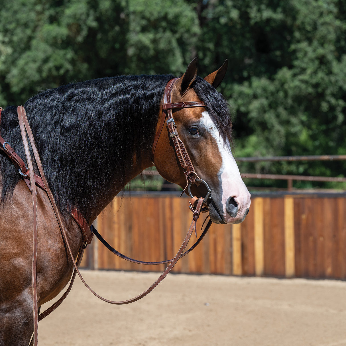 Latigo Lined Heavy Harness Leather Split Reins