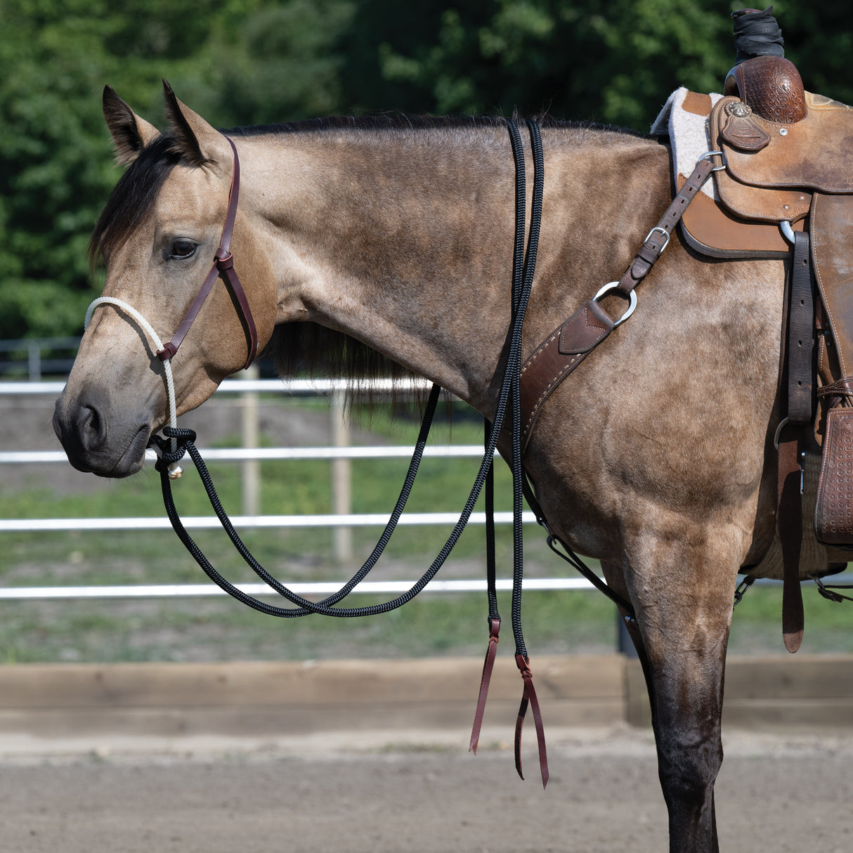 Loping Hackamore Leather Hanger with Mecate Rein
