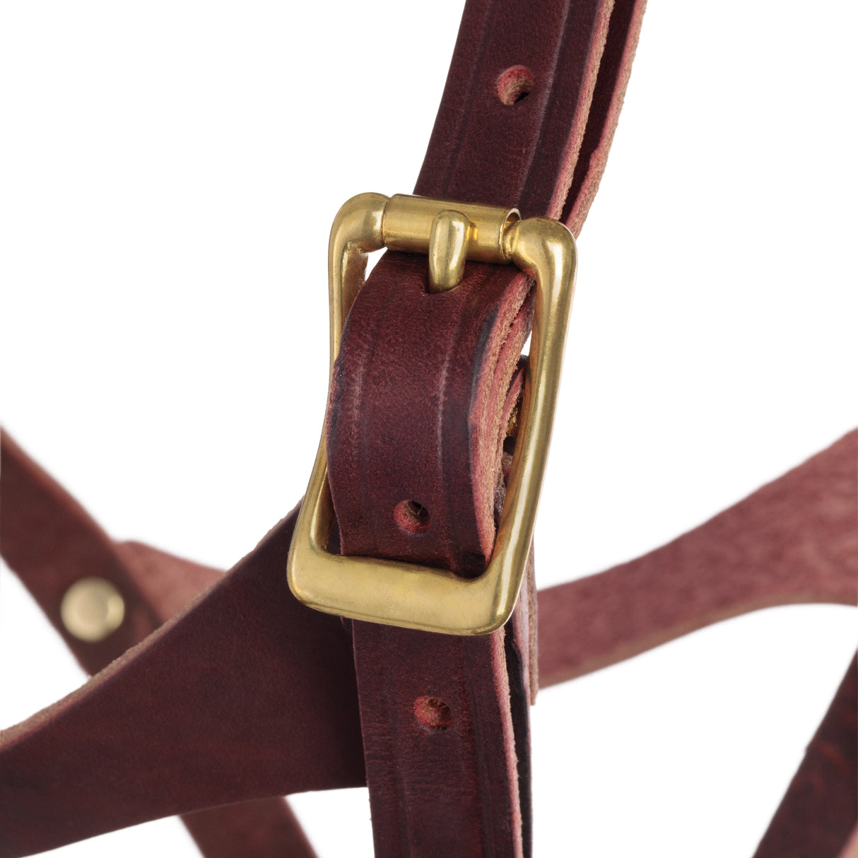 Figure 8 Foal Halter, Suckling