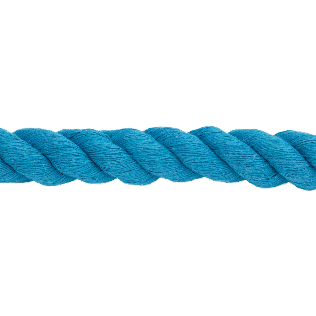 Cotton Lead Rope with Brass Plated 225 Snap, 5/8" x 10'