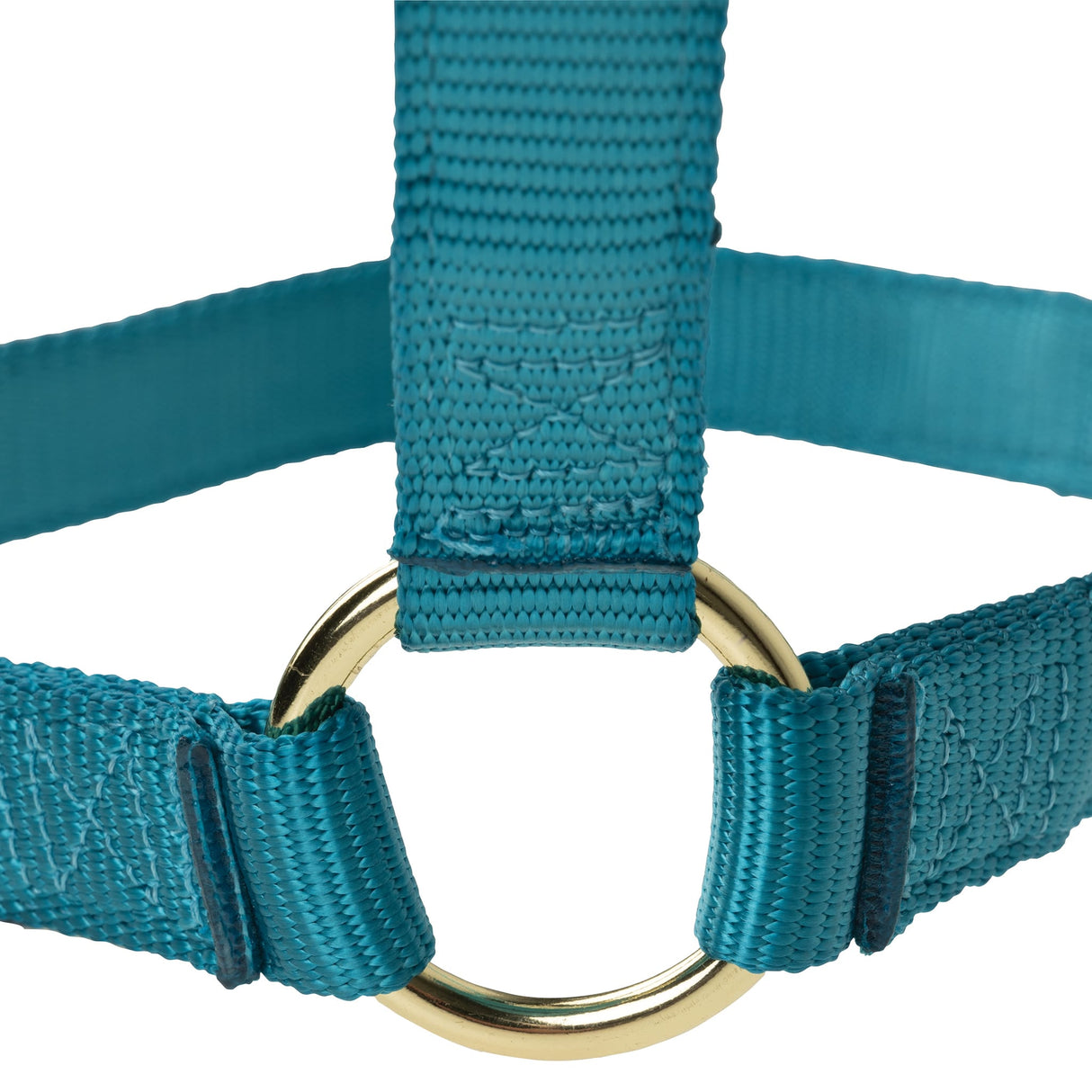 Poly Horse Halter, Non-Adjustable with Throat Snap, Weanling to Large