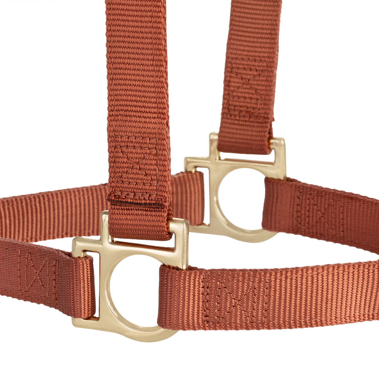 Basic Non-Adjustable Halter