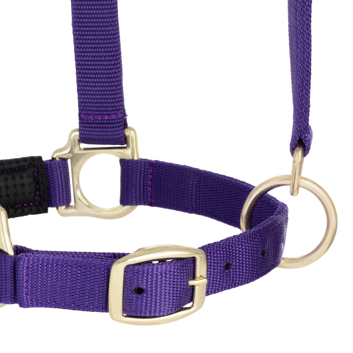 Padded Adjustable Chin and Throat Snap Halter, Solid Colors