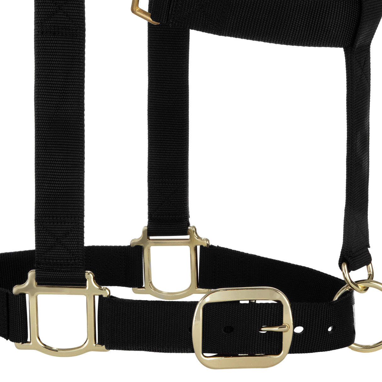 Original Adjustable Chin and Throat Snap Halter, 1-1/2" Draft