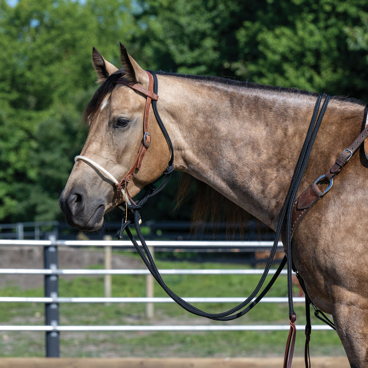 Loping Hackamore Leather Hanger with Mecate Rein
