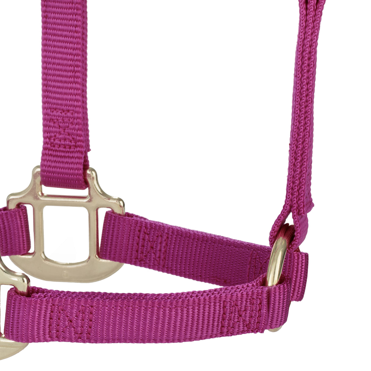 Original Non-Adjustable Halter, Weanling/Pony, 3/4"