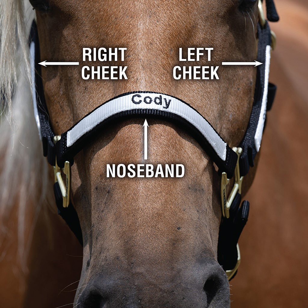 Custom Embroidered Breakaway Nylon Halter, Adjustable