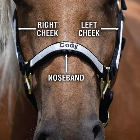 Custom Embroidered Breakaway Nylon Halter, Adjustable