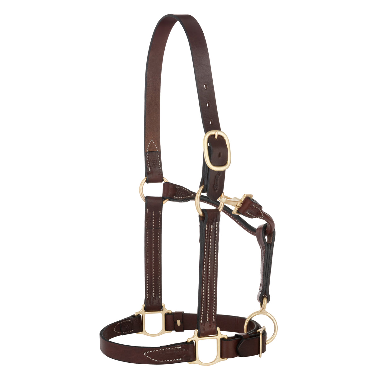 1" 3-in-1 All Purpose Halter, Horse