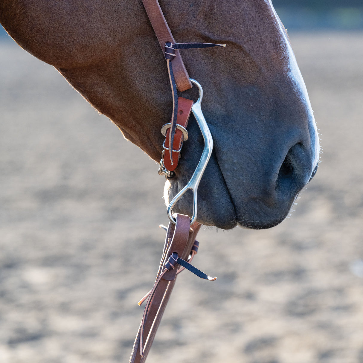 All Purpose Bit, 5-1/2" Medium Port Copper Mouth