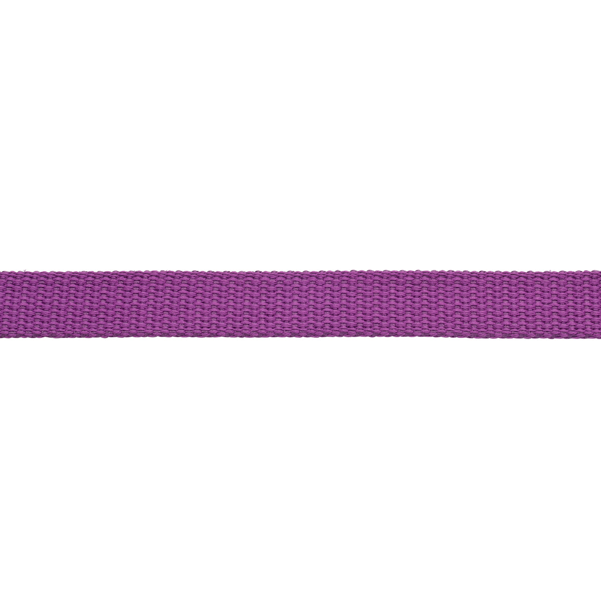 Flat Cotton Lunge Line, 1" x 30 with Nickel