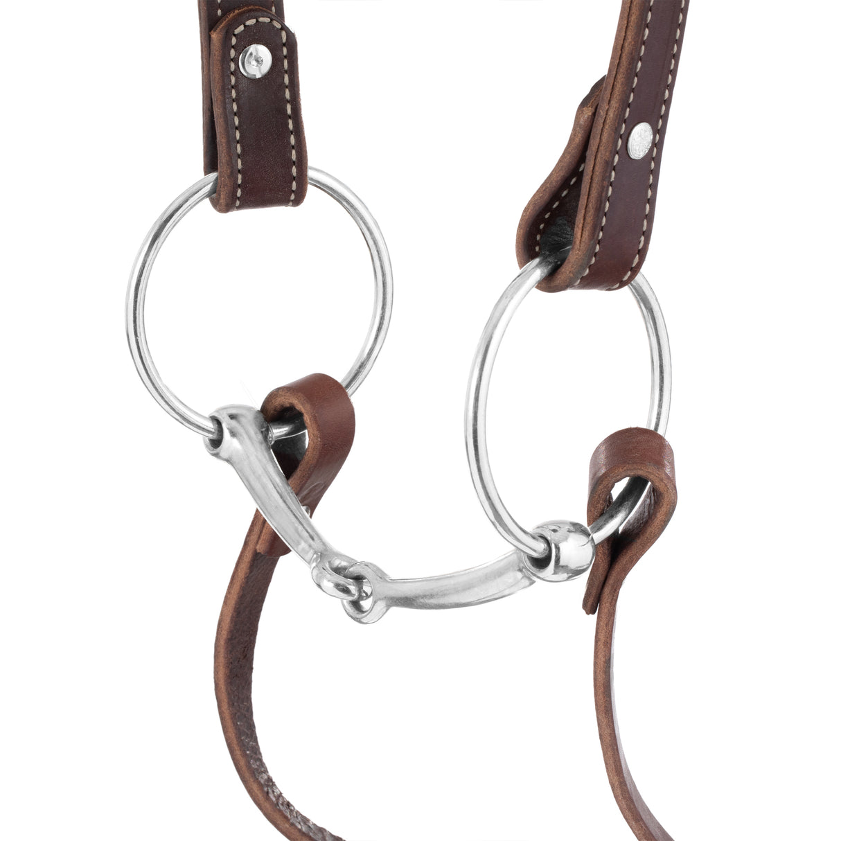Draft Horse Riding Bridle, Average
