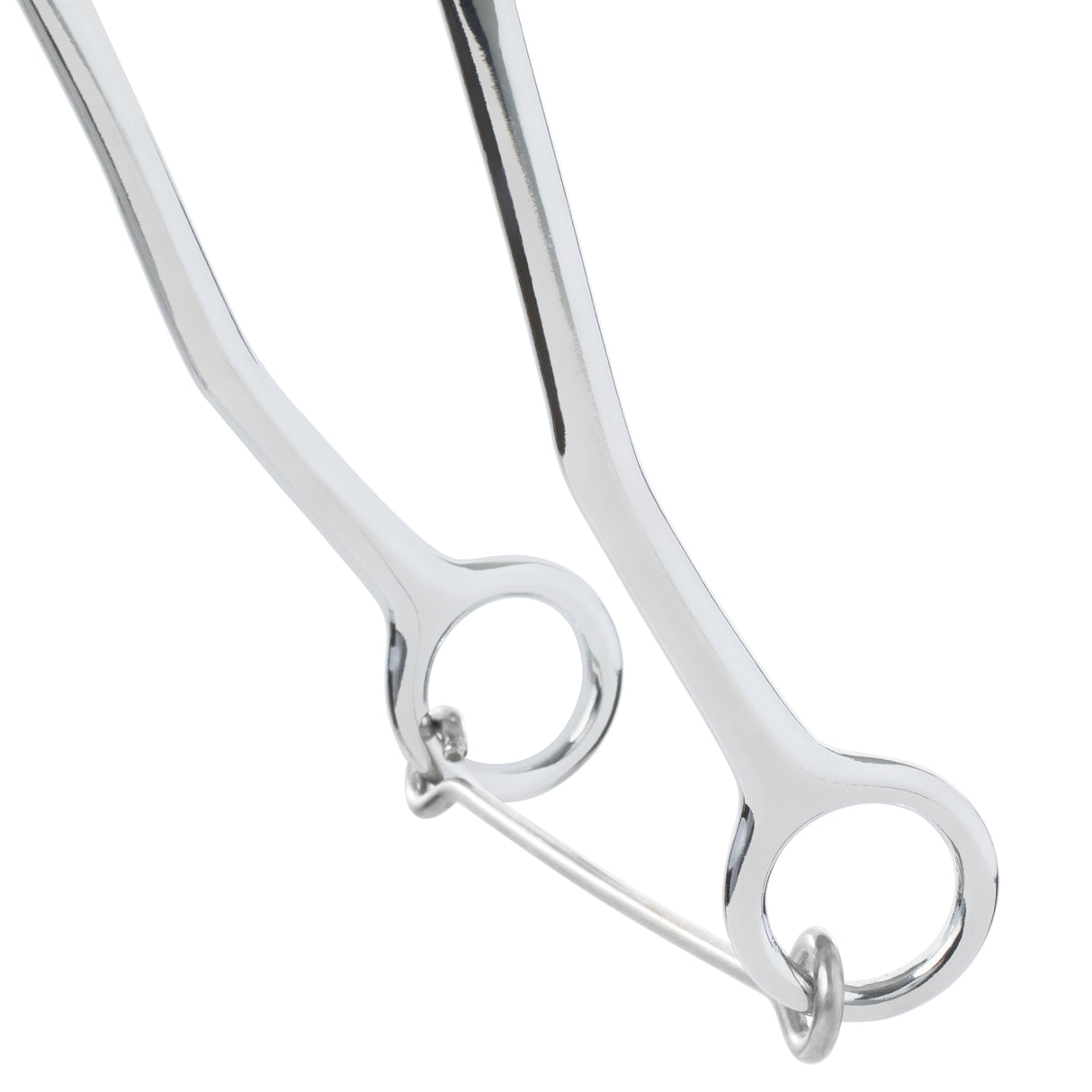 Hackamore Bit with Braided Leather Noseband, Chrome, 9" Cheeks
