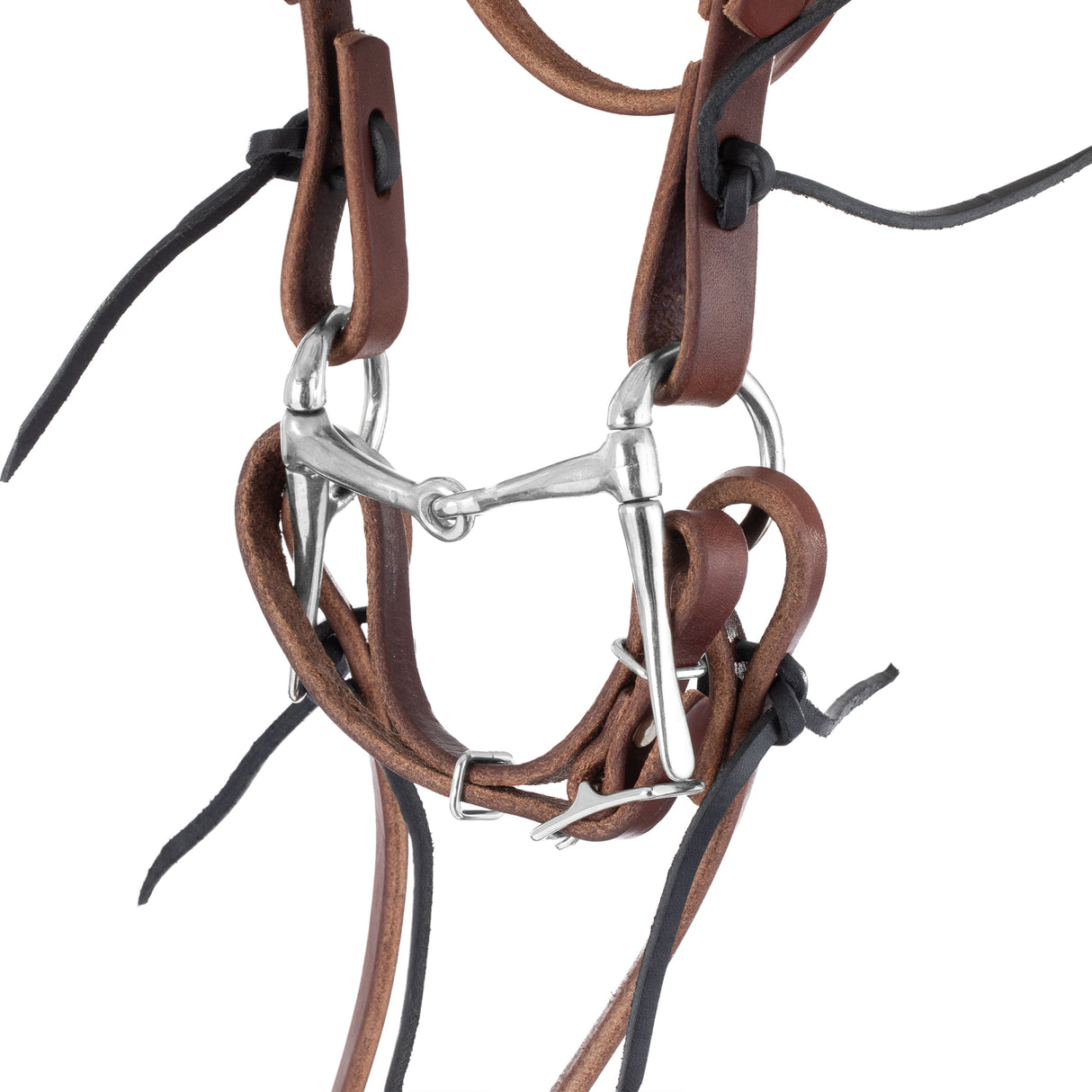 Mini Horse Bridle