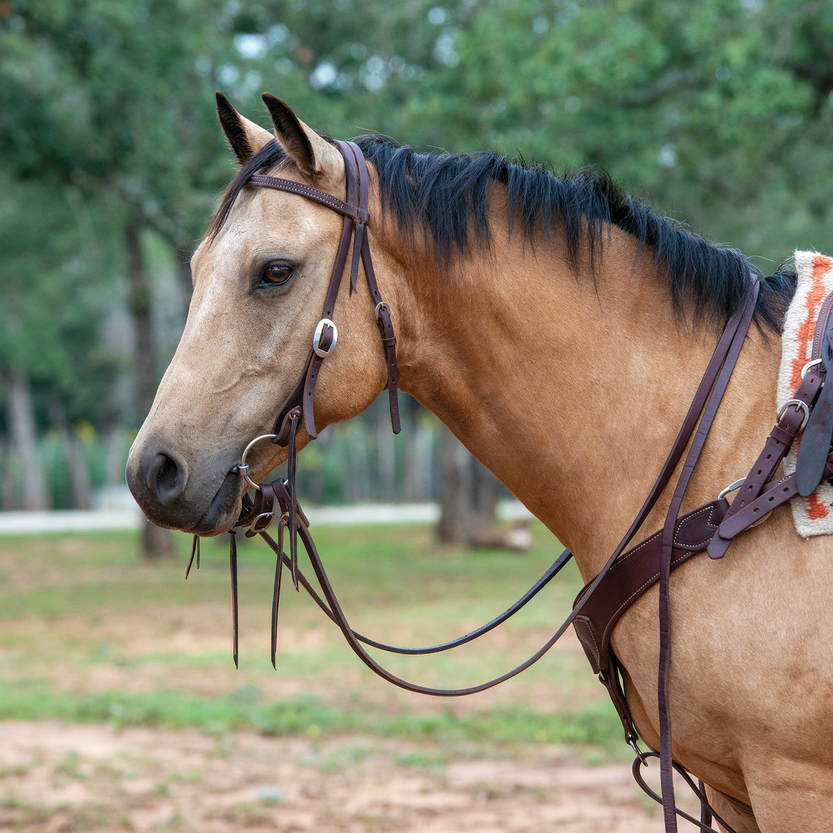 Working Tack Extra Heavy Harness Split Reins with Pineapple Knots, 5/8" x 8'