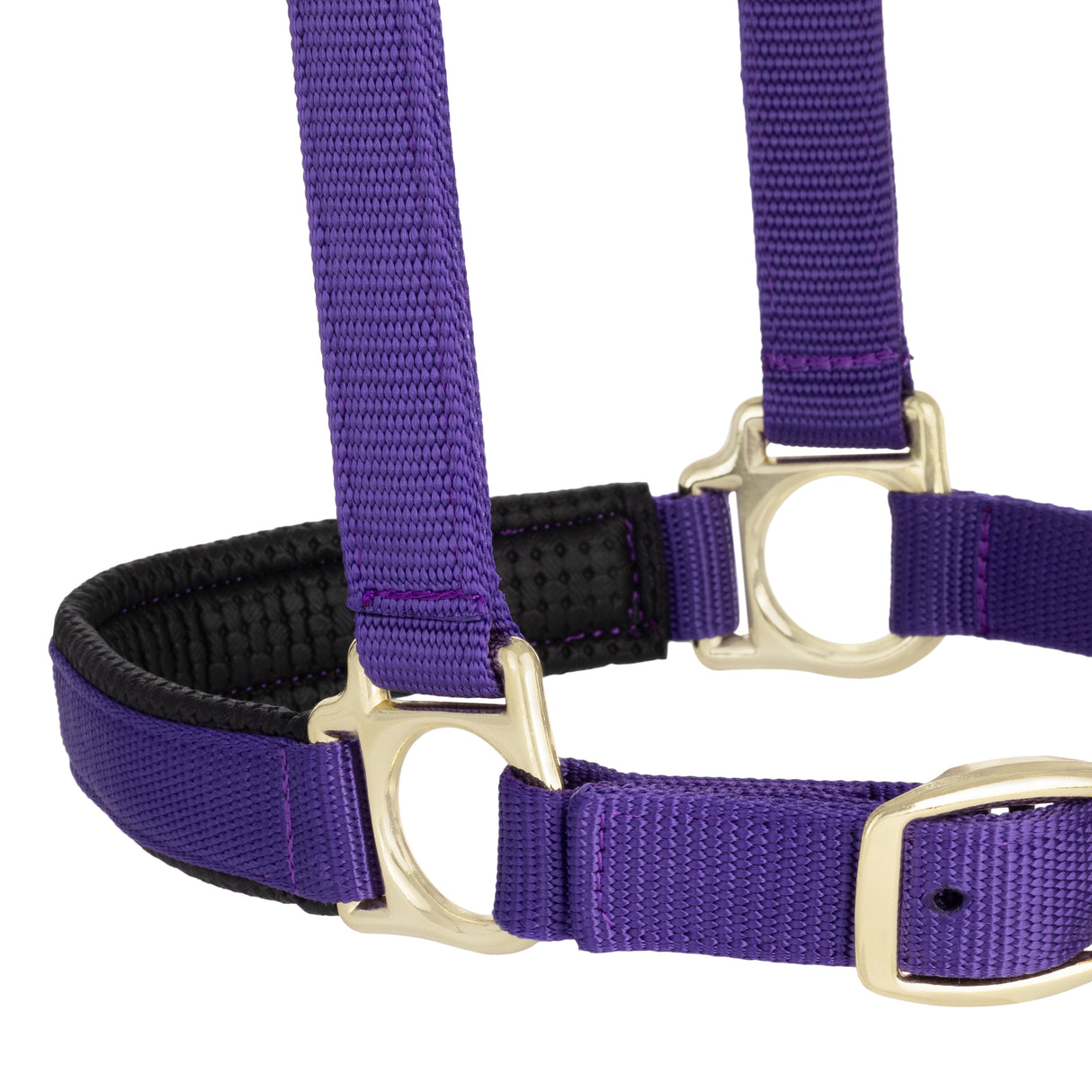 Padded Adjustable Chin and Throat Snap Halter, Solid Colors